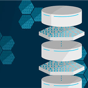 글로벌 분산 파일 시스템 및 객체 스토리지 시장