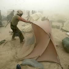 세계 배치 가능한 군사 보호소 시스템 시장