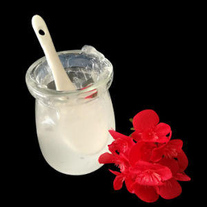 세계 세제 알코올 시장