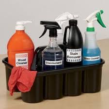 세계 소독제 클리너 시장